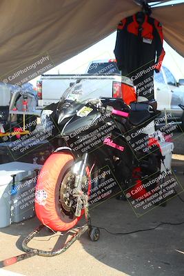 media/Sep-21-2025-TrackDaz (Sun) [[277c75b276]]/Around the Pits/